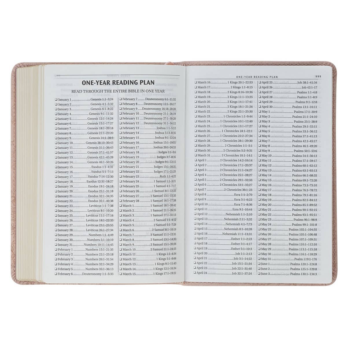 KJV Bible Compact Faux Leather