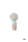 Beat the Heat Mini Fan